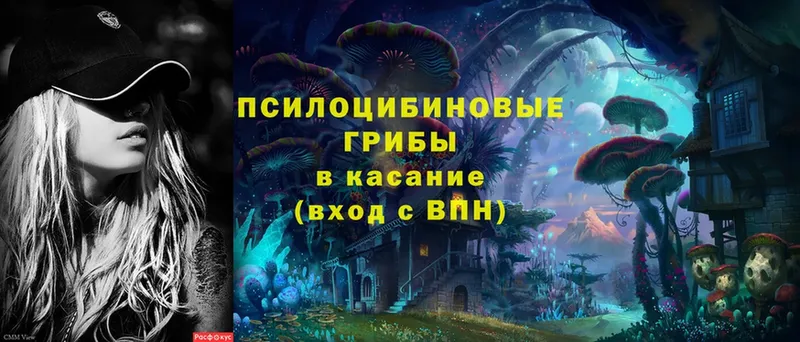 Псилоцибиновые грибы MAGIC MUSHROOMS Заринск